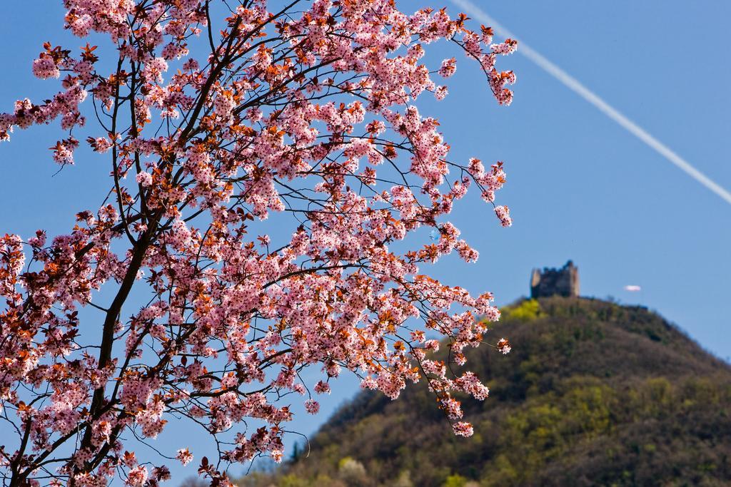 Seegarten Caldaro Exteriér fotografie